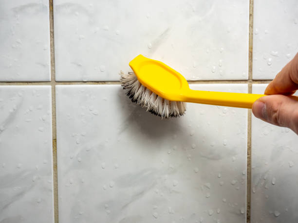 Best Mold Removal Process  in Hope Valley, RI