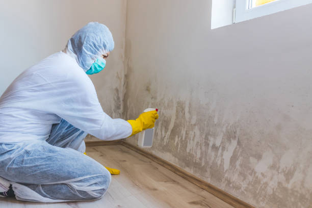 Best Mold Testing  in Hope Valley, RI