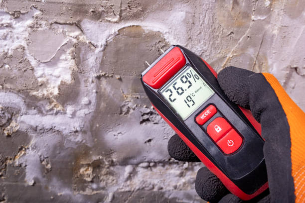 Best Best Mold Removal Companies  in Hope Valley, RI