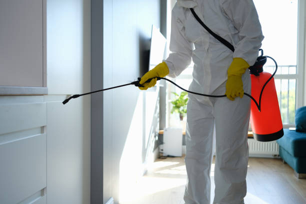 Best Affordable Mold Removal  in Hope Valley, RI